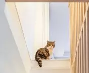 Stairs lead to the floor and terrace