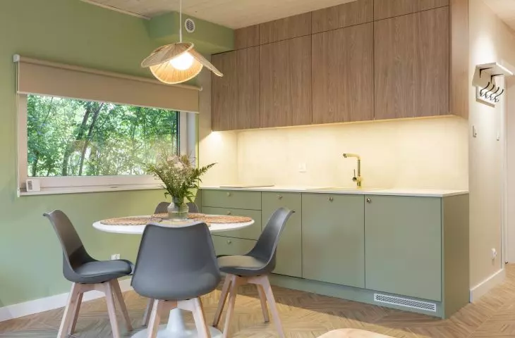 Kitchen in the shade of sage