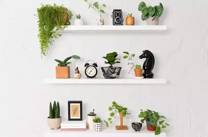 Remember the plants