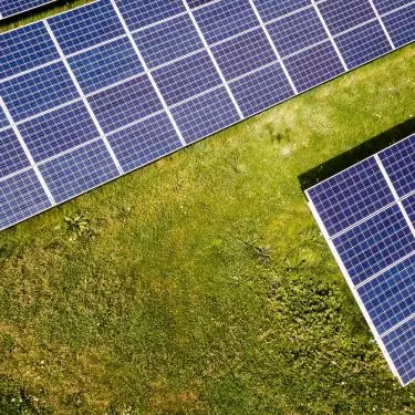 To już piąta edycja rządowego programu