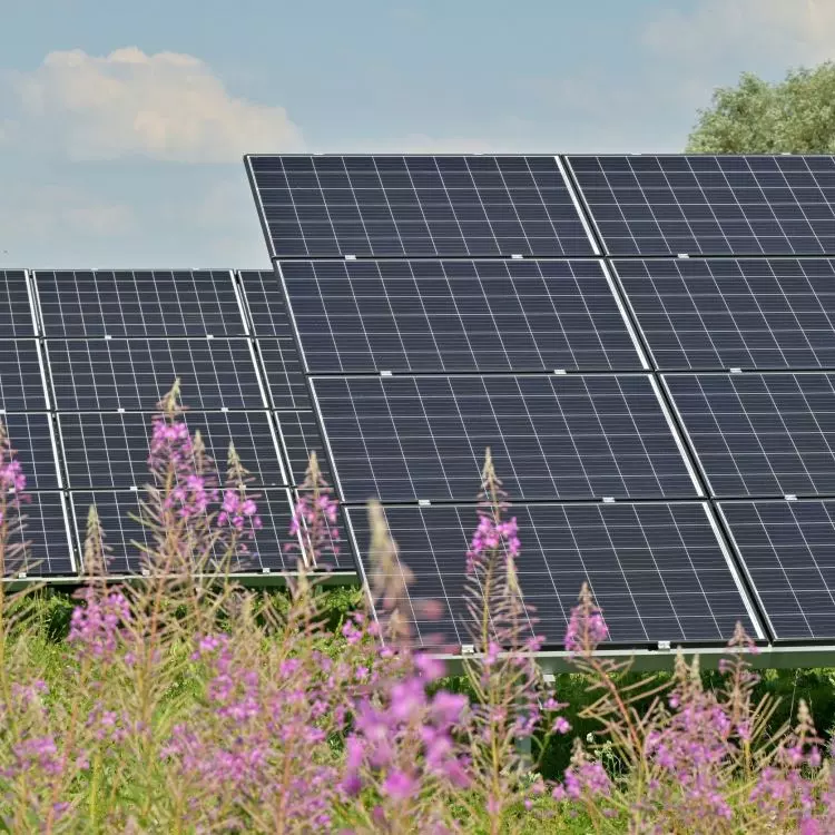 The maximum amount of funding is PLN 58 thousand.