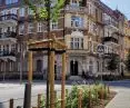A green belt with new trees on the corner of Małeckiego and Kanalowa streets was created instead of parking spaces; similar solutions have been introduced in other streets in Lazarus, Jeżyce and Wilda districts, as well as in the city center