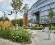 The square in front of the entrance to the Stary Browar shopping center on Ratajczaka Street; the paved and unfriendly space was replaced by a green-saturated realization by 1050 Architecture Studio (2020)