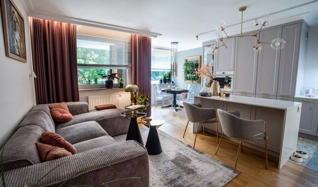 Kitchen island separates zones in the living room