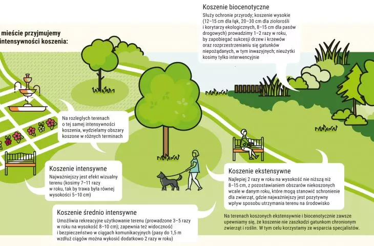 Mowing lawns in the city - an illustration taken from the 