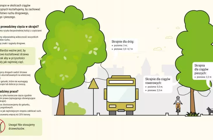 shaping trees in the gauge