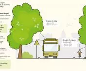 shaping trees in the gauge