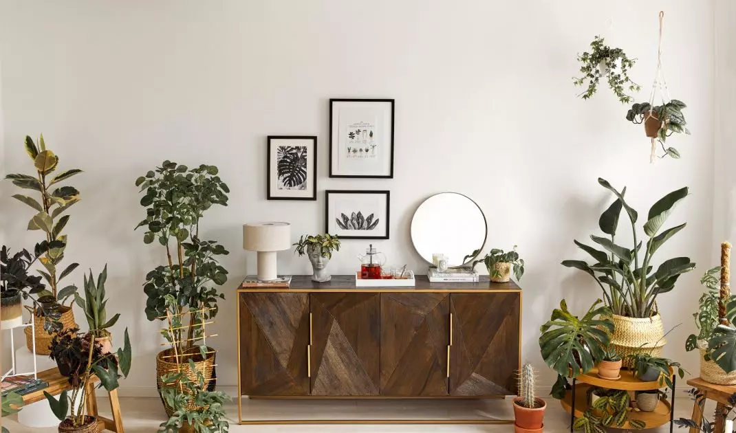Surround yourself with plenty of plants