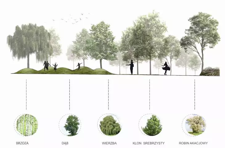 Projekt Centrum Międzypokoleniowego w Tarnowie, schemat zieleni