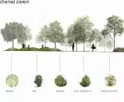 Projekt Centrum Międzypokoleniowego w Tarnowie, schemat zieleni