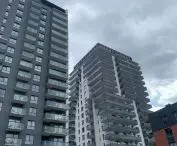 Bastion of the Embankment. One of the most controversial developments to emerge in the Young City