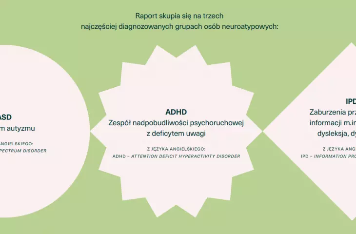 autorzy raportu skupiają się na trzech grupach