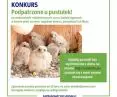 Konkurs — podpatrzone u pustułek