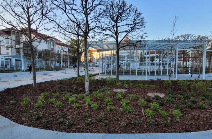 Plac Przyjaciół Sopotu, nowa aranżacja zieleni, prace końcowe, 8 maja 2023