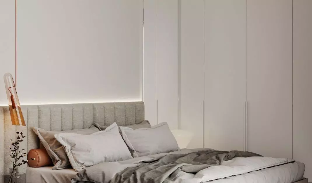 Bedroom with built-ins 