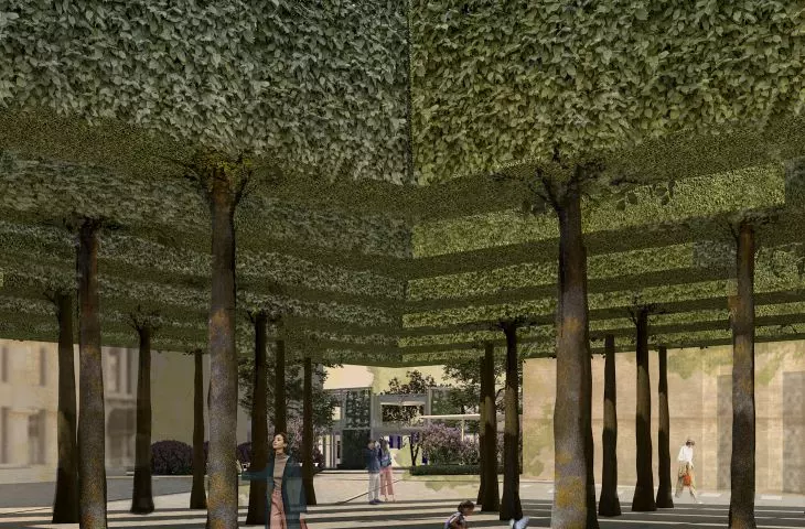 A colonnade of trunks and geometrically formed plant crowns create a 