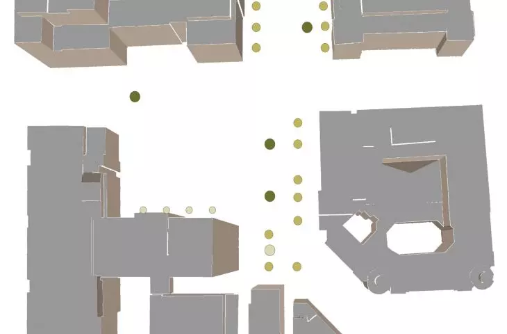 Types of greenery in the project