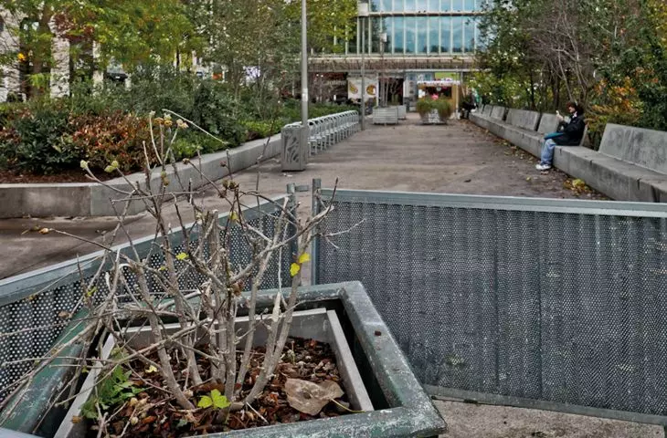 pathetic attempts to green the city, i.e. pots with neglected vegetation placed here and there