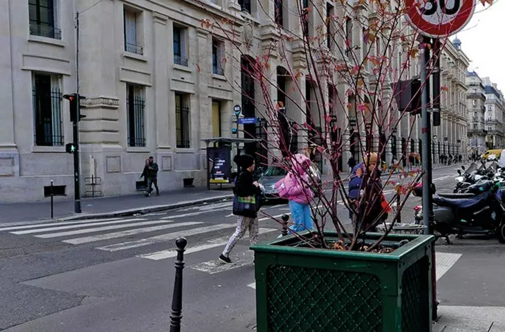 one of the few squares recently put into use: high greenery is scarce, while the naked eye can see the 
