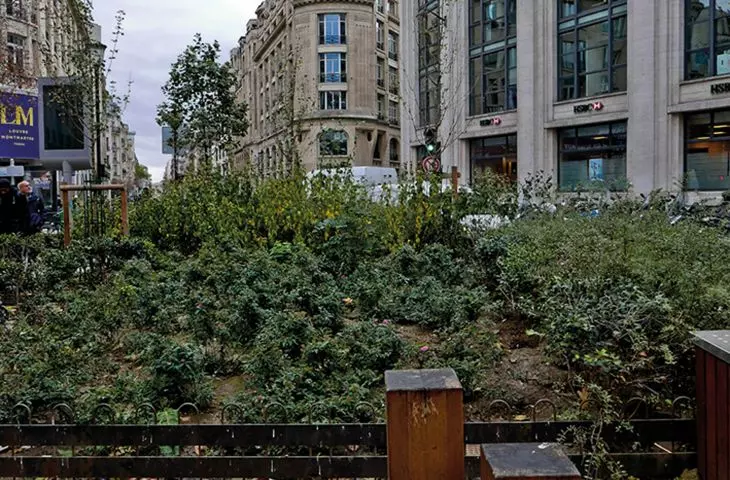 one of the few squares recently put into use: high greenery is scarce, while the naked eye can see the 