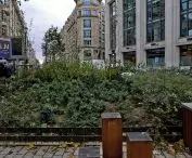 one of the few squares recently put into use: high greenery is scarce, while the naked eye can see the 
