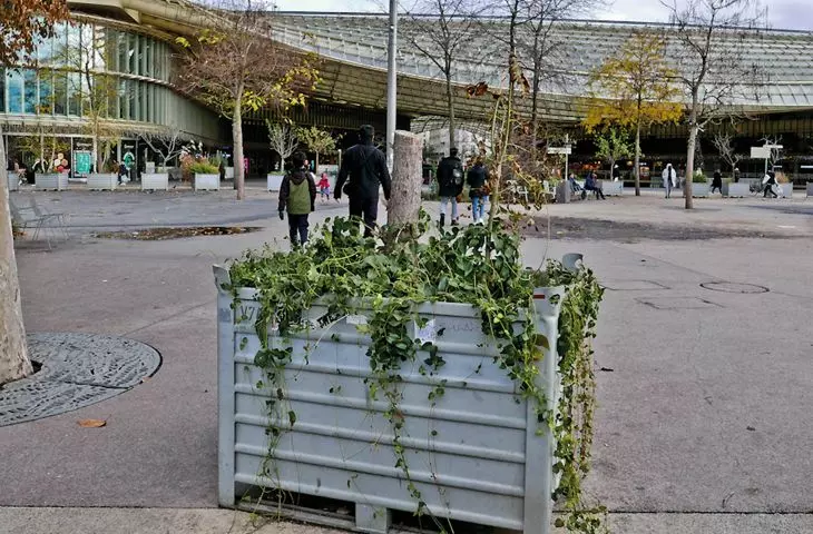 Les Halles area