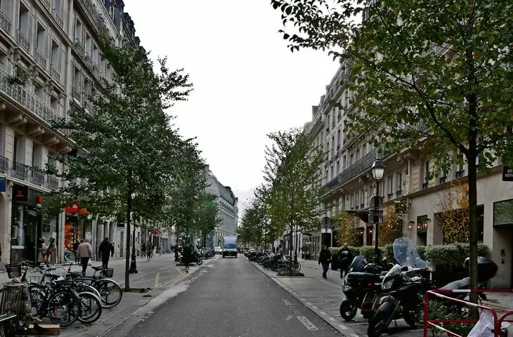 located in the very center of the Rue du Pont Neuf is one of the few examples, unfortunately for now, of the implementation of planting with tall vegetation at the expense of former parking spaces