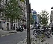 located in the very center of the Rue du Pont Neuf is one of the few examples, unfortunately for now, of the implementation of planting with tall vegetation at the expense of former parking spaces