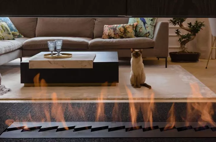 Bio-fireplace in the living room