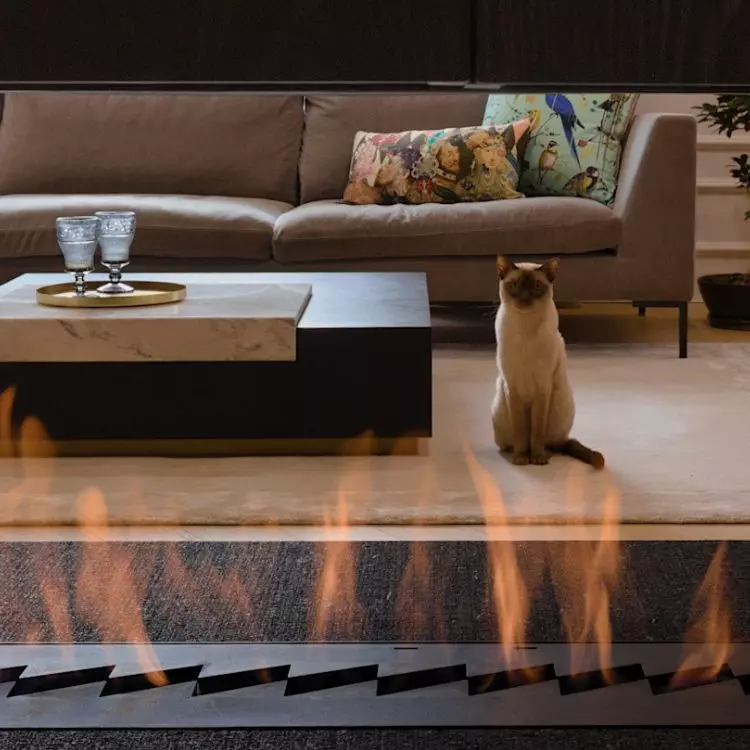 Bio-fireplace in the living room