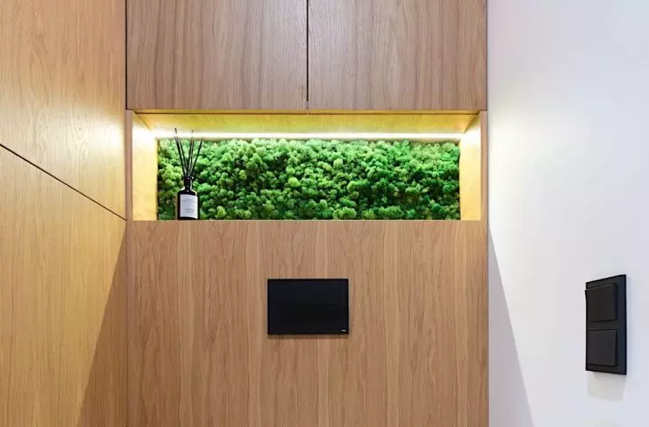 Built-in toilet