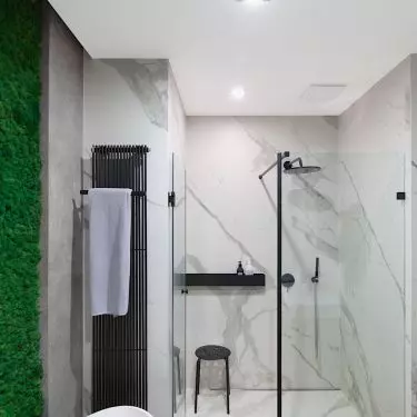 Both the toilet and the bathroom use elements of the green wall