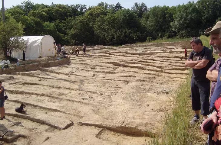  Excavations at the Pavlov archaeological site