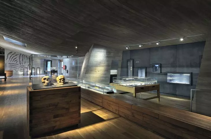 in such an ascetic interior, illuminated display cases with exhibits catch the eye