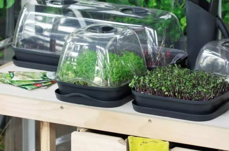You can create a mini greenhouse on your balcony