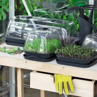 You can create a mini greenhouse on your balcony