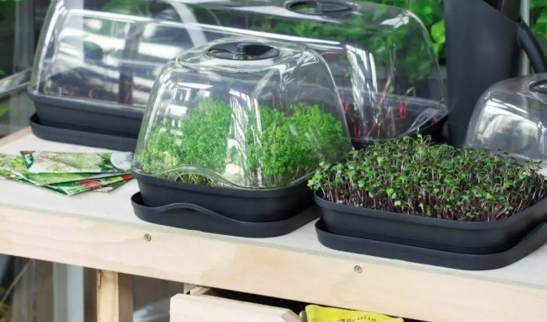 You can create a mini greenhouse on your balcony