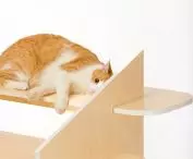Cat table
