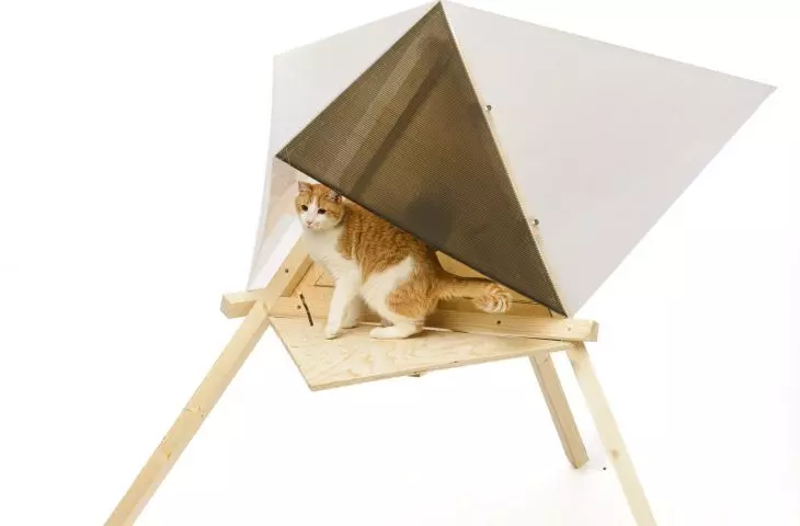 The rocket is designed for one cat