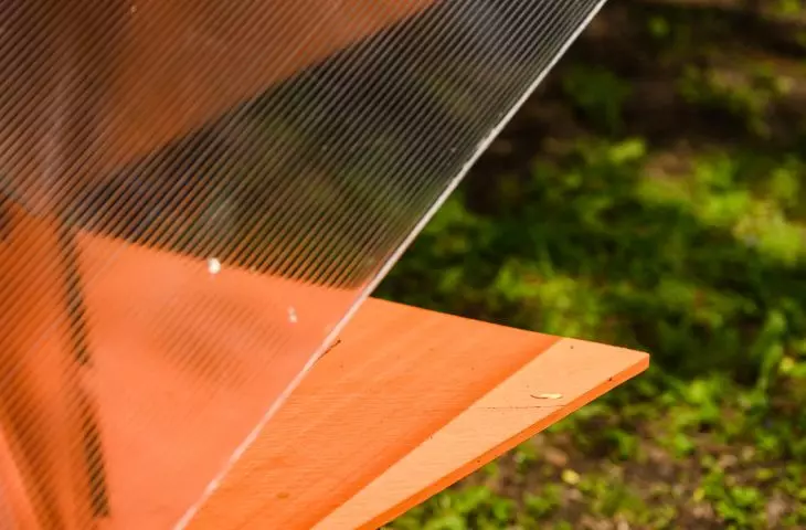 The house is covered by a transparent polycarbonate roof