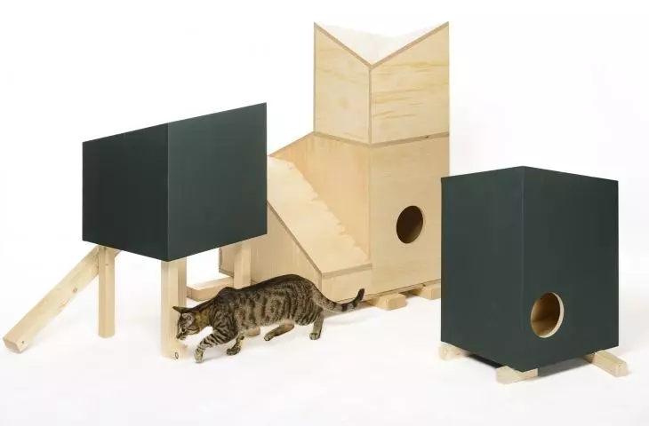 The cat-shaped shelter was created under the direction of social.form