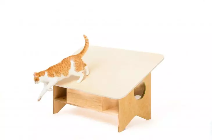 Chatie was created under the direction of Atelier Starzak Strebicki