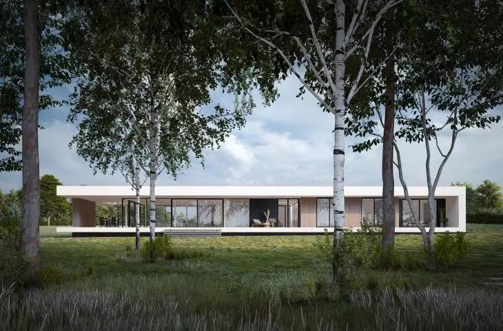 Horizontal house