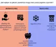 czynniki związane z kryzysem energetycznym, które wpłynęły na politykę walki z zanieczyszczeniami w ostatnim roku