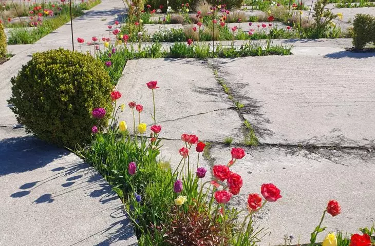 rozszczelniony betonowy plac
