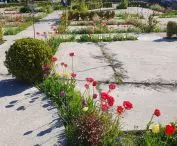 rozszczelniony betonowy plac