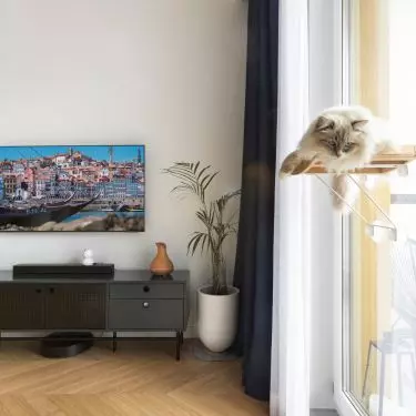Space for the cat