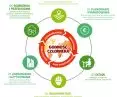 The life cycle of the urbanized environment