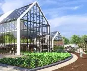 Urban farming area and greenhouses