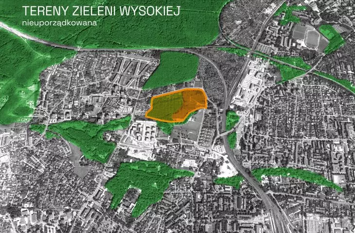 Zestawienie terenów zieleni wysokiej nieuporządkowanej